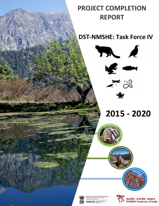 Report Cover
