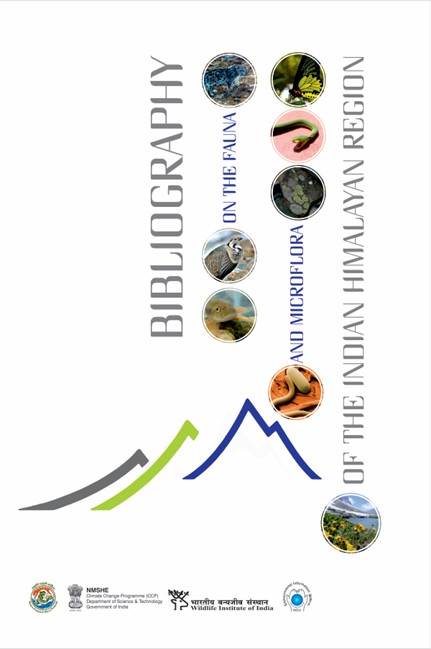 Report Cover