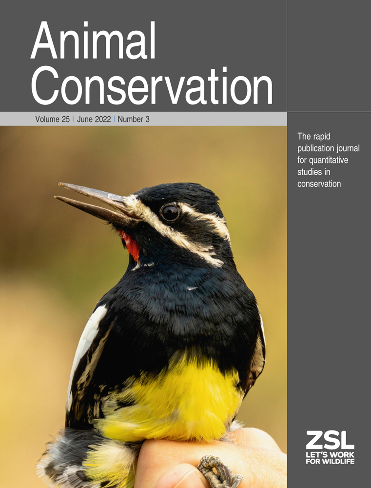Paper Cover