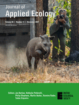 Paper Cover