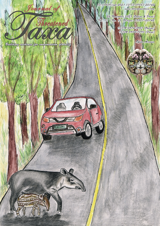 Paper Cover