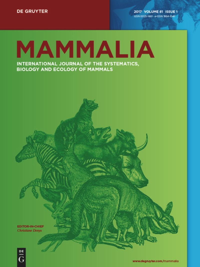 Paper Cover