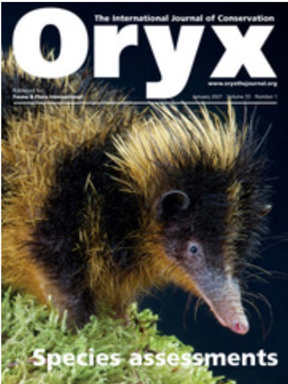 Paper Cover