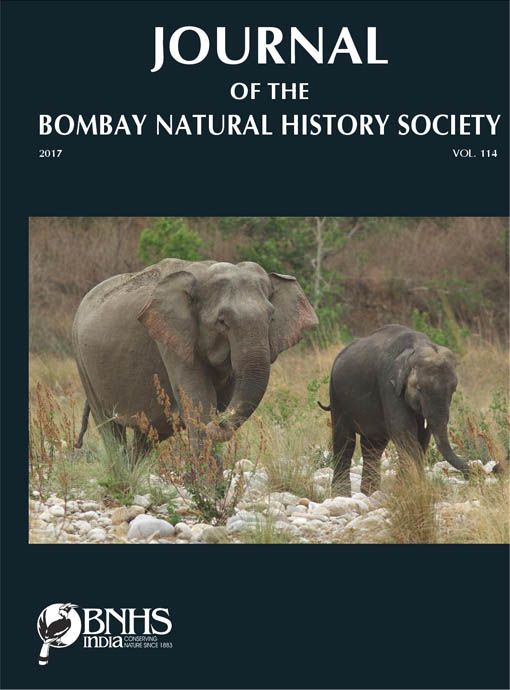 Paper Cover