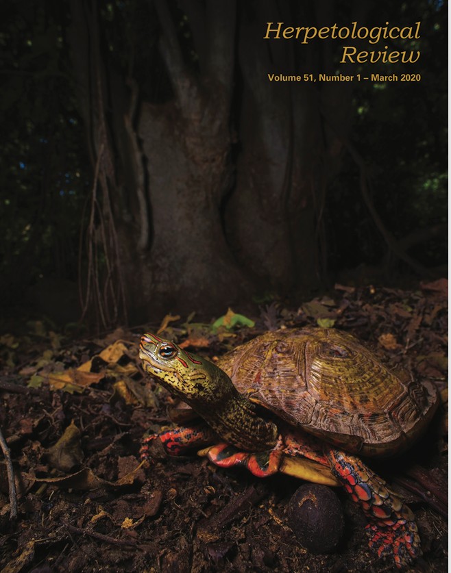 Paper Cover