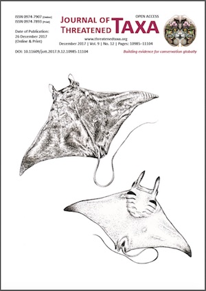 Paper Cover