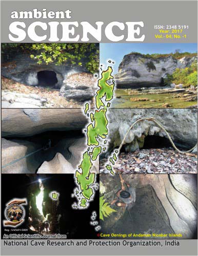 Paper Cover