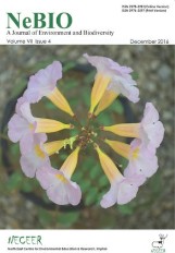 Paper Cover