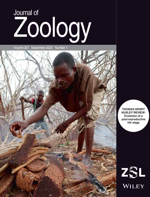 Paper Cover