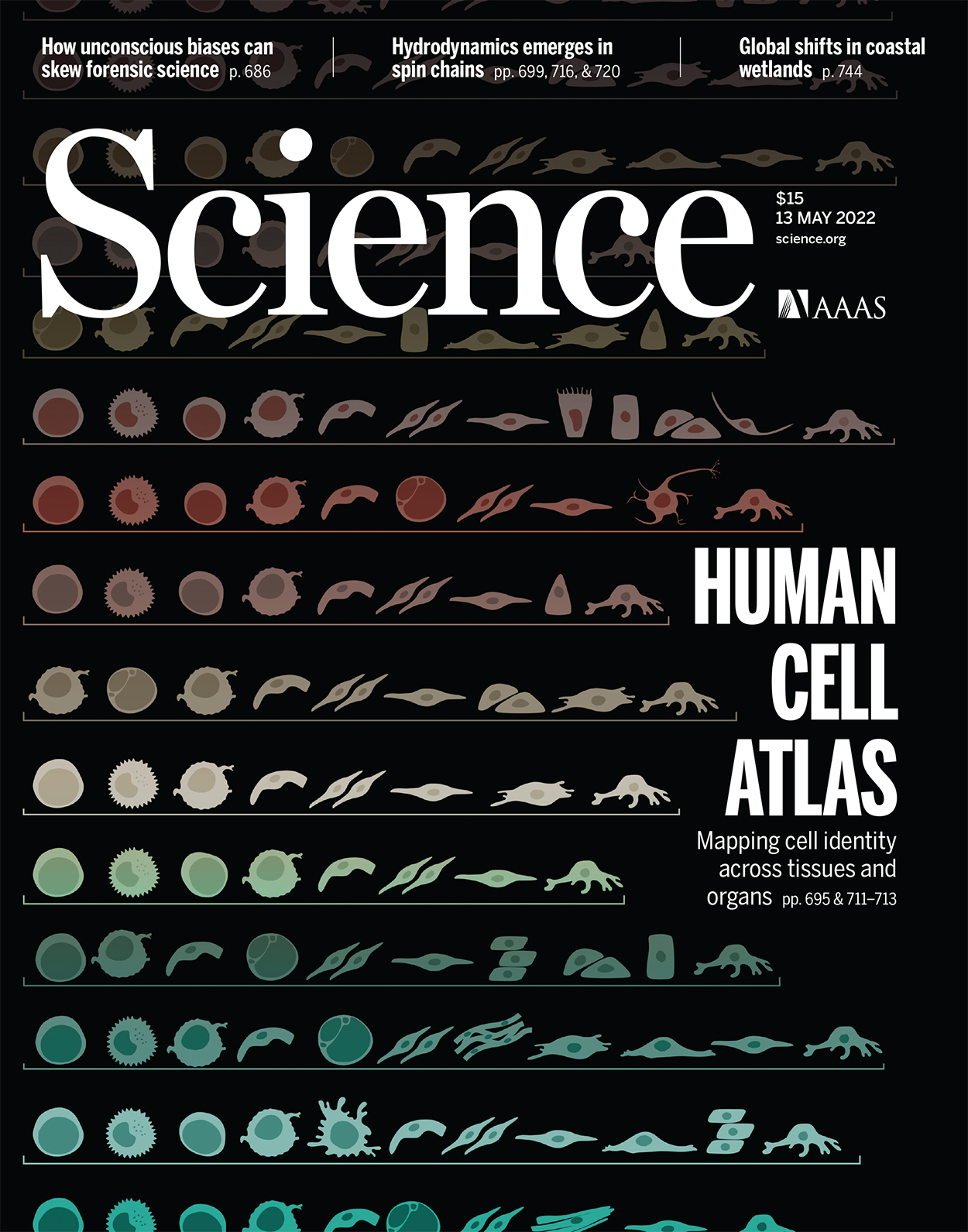 Paper Cover